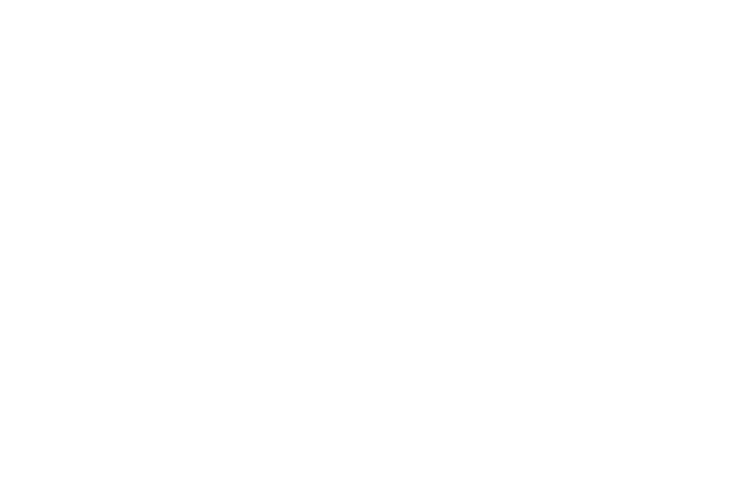 MEGA BOSS